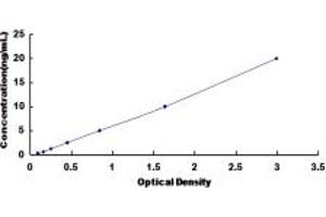 Typical standard curve (FMO1 ELISA Kit)