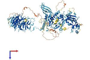 PAN2 Protein (AA 1-1200) (His tag)