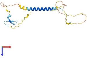 Protein Structure (PS) image for Tumor Necrosis Factor Receptor Superfamily, Member 13C (TNFRSF13C) (AA 1-175) protein (His tag) (ABIN7561120)
