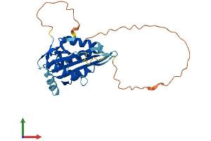 Protein Structure (PS) image for MAF1 Homolog (MAF1) (AA 1-256) protein (His tag) (ABIN7549310)