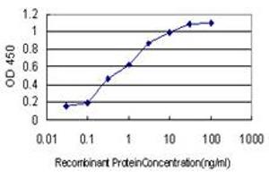 Detection limit for recombinant GST tagged NUDT3 is approximately 0. (NUDT3 Antikörper  (AA 1-172))