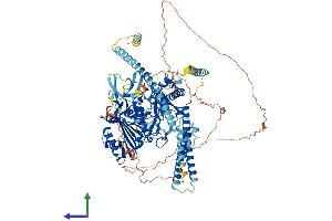 AlphaFold protein structure predicition of Mouse Recombinant Morc2b Protein, UniprotID Q8C5W4