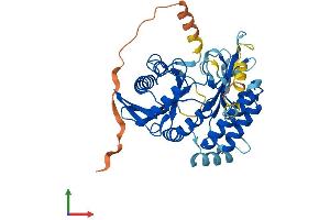 Protein Structure (PS) image for Phosphatidylinositol-4-Phosphate 5-Kinase-Like 1 (PIP5KL1) (AA 1-394) protein (His tag) (ABIN7550756)