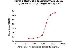 Thymic Stromal Lymphopoietin (TSLP) (AA 29-159) protein (Fc Tag)