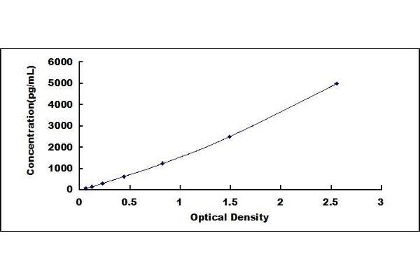 p53 ELISA Kit