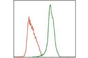Flow cytometric analysis of MOLT4 cells using MPL mouse mAb (green) and negative control (red).