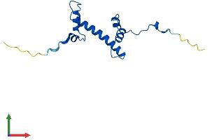 Protein Structure (PS) image for H2A Histone Family, Member J (H2AFJ) (AA 1-129) protein (His tag) (ABIN7559675)
