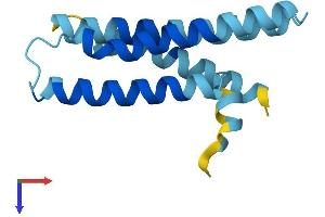 AlphaFold protein structure predicition of Human Recombinant TMEM203 Protein, UniprotID Q969S6 (TMEM203 Protein (AA 1-136) (His tag))