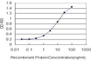 Detection limit for recombinant GST tagged T is approximately 0. (T Brachyury Protein (AA 222-320) Antikörper)