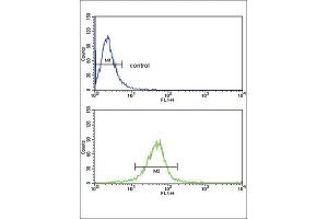 Flow Cytometry (FACS) image for anti-Glutathione S-Transferase mu 1 (GSTM1) antibody (ABIN3002864)