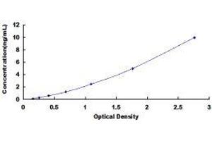 ELISA image for Slingshot Homolog 3 (SSH3) ELISA Kit (ABIN1118146)
