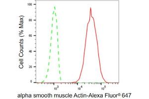 Flow cytometric analysis of alpha smooth muscle Actin expression in HT- cells using alpha smooth muscle Actin antibody (ABIN7797464), 1:2,000). (Rekombinanter Smooth Muscle Actin Antikörper)