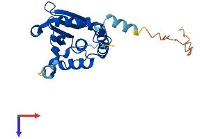STYX Protein (AA 1-223) (His tag)