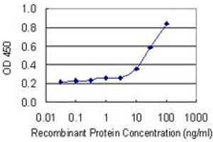 Detection limit for recombinant GST tagged SAMSN1 is 3 ng/ml as a capture antibody. (SAMSN1 Antikörper  (AA 1-373))