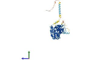 Protein Structure (PS) image for Ectonucleoside Triphosphate diphosphohydrolase 7 (ENTPD7) (AA 1-604) protein (His tag) (ABIN7547363)