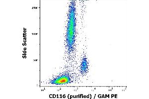 Flow cytometry surface staining pattern of human peripheral blood stained using anti-human CD116 (4H1) purified antibody (concentration in sample 3 μg/mL) GAM PE.