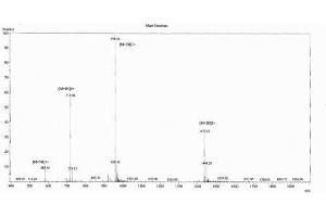 Image no. 1 for Urocortin 2 (UCN2) peptide (Ovalbumin) (ABIN5666403) (Urocortin 2 (UCN2) peptide (Ovalbumin))