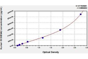 Typical Standard Curve (SCGB3A2 ELISA Kit)