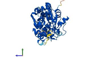 Protein Structure (PS) image for Serine Racemase (SRR) (AA 1-339) protein (His tag) (ABIN7561845)
