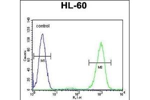 Flow Cytometry (FACS) image for anti-Adenosine Deaminase (ADA) (AA 287-314), (C-Term) antibody (ABIN655597)