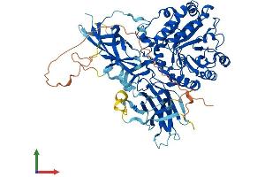 AlphaFold protein structure predicition of Human Recombinant ENGASE Protein, UniprotID Q8NFI3