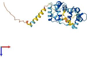 KCNIP1 Protein (AA 1-227) (His tag)