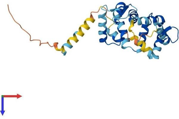 KCNIP1 Protein (AA 1-227) (His tag)
