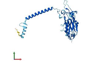 AlphaFold protein structure predicition of Human Recombinant ATP1B2 Protein, UniprotID P14415