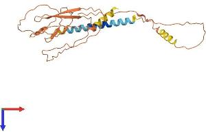 AlphaFold protein structure predicition of Human Recombinant C17orf78 Protein, UniprotID Q8N4C9
