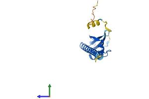 Protein Structure (PS) image for Oocyte Expressed Protein (OOEP) (AA 1-149) protein (His tag) (ABIN7550346)