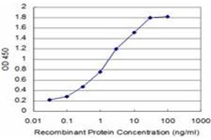 Detection limit for recombinant GST tagged SOX8 is approximately 0. (SOX8 Antikörper  (AA 102-210))