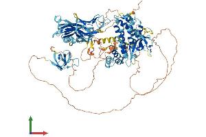 Protein Structure (PS) image for SH3-Domain Binding Protein 4 (SH3BP4) (AA 1-963) protein (His tag) (ABIN7555461)