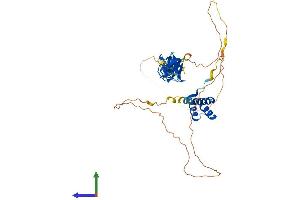 Protein Structure (PS) image for LIM Homeobox 5 (LHX5) (AA 1-402) protein (His tag) (ABIN7556586)