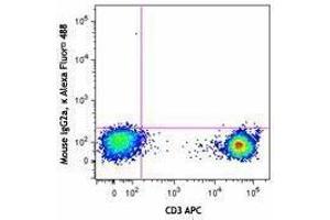 Flow Cytometry (FACS) image for anti-Chemokine (C-C Motif) Receptor 7 (CCR7) antibody (Alexa Fluor 488) (ABIN2657353)
