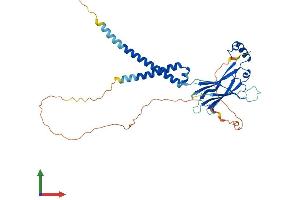 Protein Structure (PS) image for Berardinelli-Seip Congenital Lipodystrophy 2 (Seipin) (BSCL2) (AA 1-383) protein (His tag) (ABIN7556426)