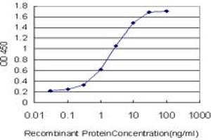 Detection limit for recombinant GST tagged EPHB3 is approximately 0. (EPH Receptor B3 Antikörper  (AA 899-997))