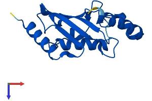 UBE2A Protein (AA 1-152) (His tag)