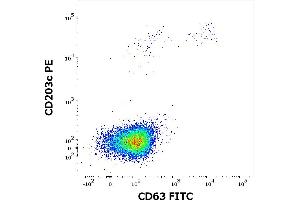 Flow cytometry dot-plot staining pattern of rCan f 1 recombinant allergen stimulated human peripheral whole blood lymphocytes and basophils of a proven allergic donor stained using anti-human CD63 (MEM-259) FITC and anti-human CD203c (NP4D6) PE antibodies . (Can f 1 (Canis Familiaris) Protein)