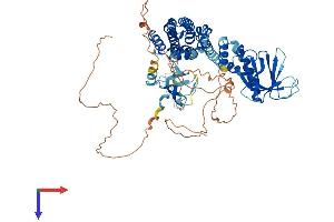 SPATA13 Protein (AA 1-656) (His tag)
