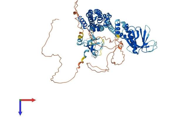 SPATA13 Protein (AA 1-656) (His tag)