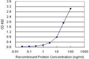 ELISA image for KIT (Human) Matched Antibody Pair (ABIN1341649)