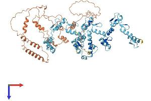AlphaFold protein structure predicition of Human Recombinant ZNF267 Protein, UniprotID Q14586