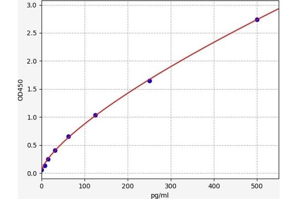 CDKN1B ELISA Kit