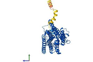 Protein Structure (PS) image for Progestin and AdipoQ Receptor Family Member VIII (PAQR8) (AA 1-354) protein (His tag) (ABIN7558453)