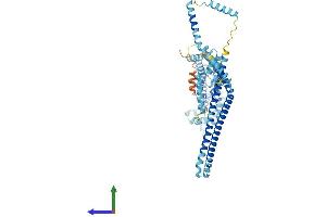 Protein Structure (PS) image for IQ Motif Containing B1 (IQCB1) (AA 1-598) protein (His tag) (ABIN7548584)