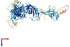 EEFSEC Protein (AA 1-596) (His tag)