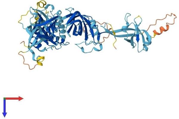 EEFSEC Protein (AA 1-596) (His tag)
