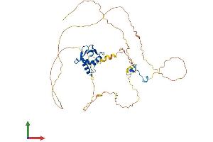 AlphaFold protein structure predicition of Human Recombinant ELK3 Protein, UniprotID P41970