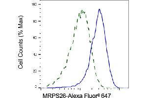 Validation of MRPS26 knockdown using flow cytometry.