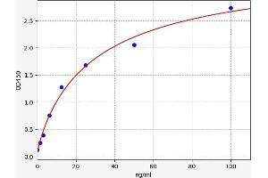 Typical standard curve (IGJ ELISA Kit)